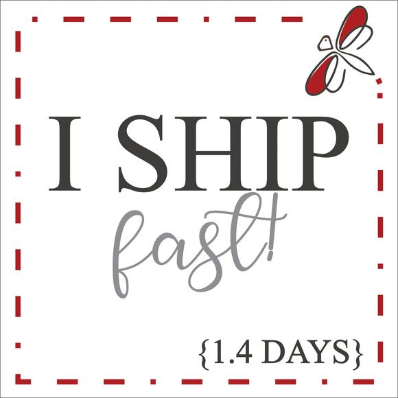 Nike Global Performance 00 Quilted Jacket Blue Silver XL - Picture 3 of 15